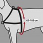 Harnais de dressage Lead'n'Walk Soft L-XL 65-105cm/25mm - Trixie