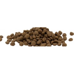 Cat Adult Chicken 1kg - Opti Life 441310 Opti Life 10,00 € Ornibird