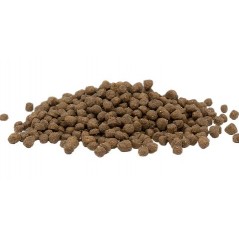 Cat Kitten Chicken 1kg - Opti Life à 10,25 € - Opti Life - 441308 - Opti Life