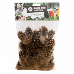 Forest Pine Cones Small - Back Zoo Nature ZF3554 Back Zoo Nature 4,95 € Ornibird