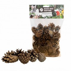 Forest Pine Cones Small - Back Zoo Nature à 4,95 € - Back Zoo Nature - ZF3554 - Jouets