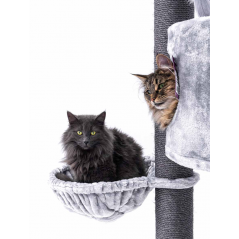 Arbre à Chats Charlotte 180 Gris - Petrebels à 329,00 € - Petrebels - 4094431185 - Arbre à chat & griffoir