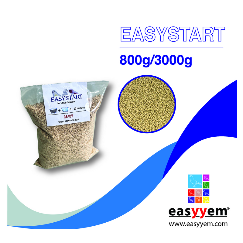 EasyStart pour Mosaiques 800g - Easyyem