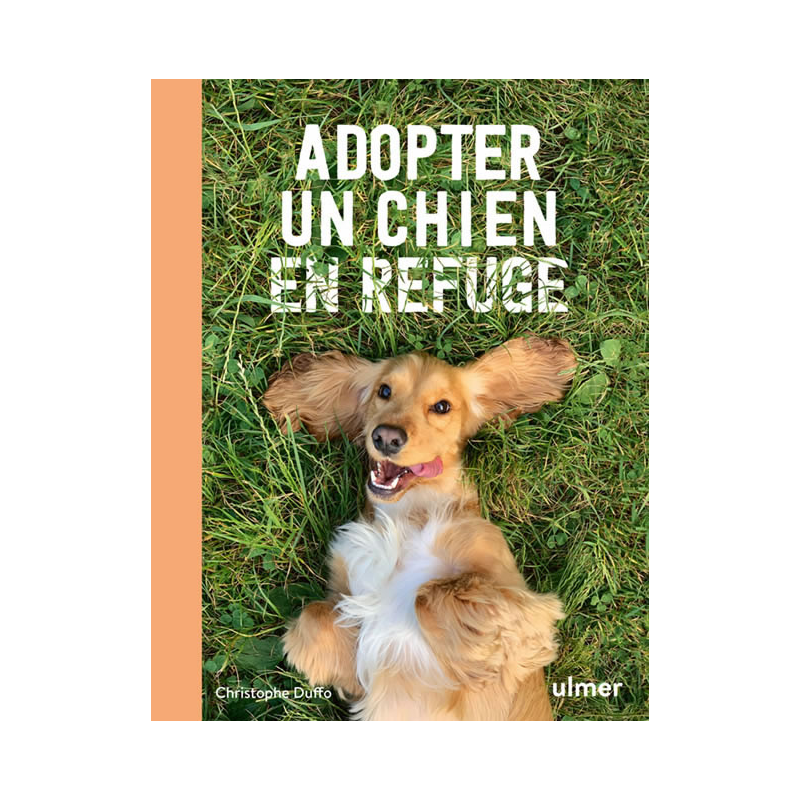 Adopter un chien en refuge - Christophe DUFFO