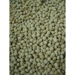 Perilla Blanc 15kg - Grizo à 104,95 € - Grizo - 103057150 - Graines