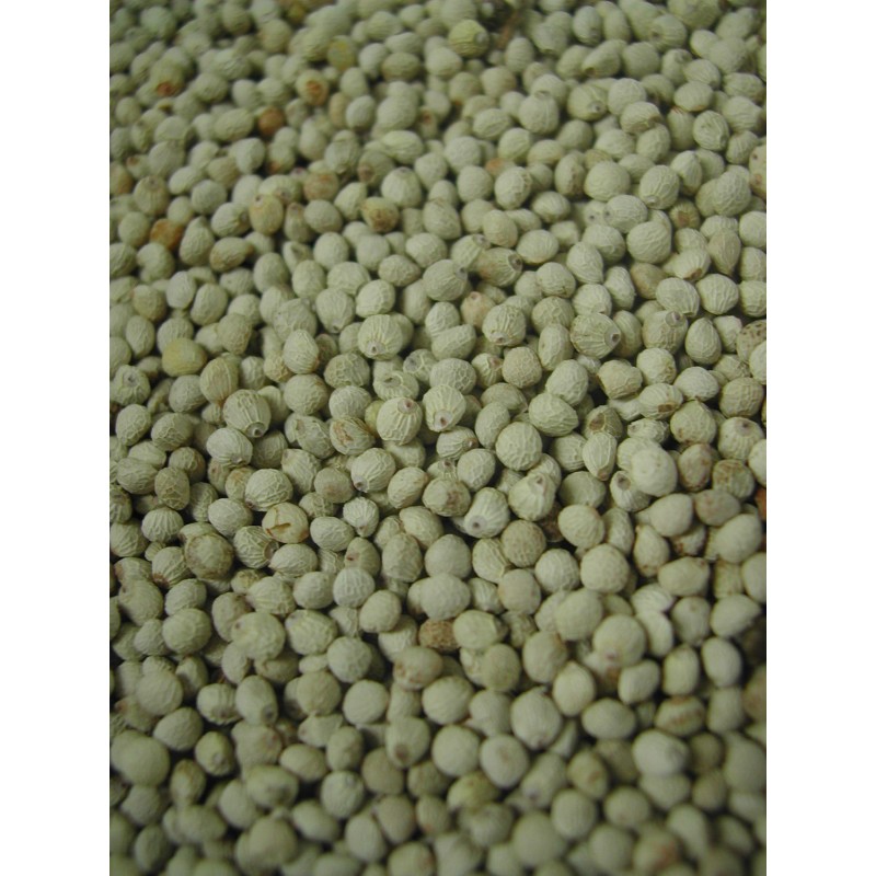 Perilla Blanc 15kg - Grizo