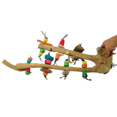 Multi Perch avec Jouets L - Parrot And Toys