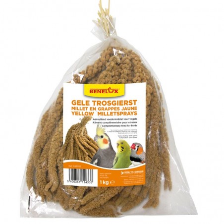 Millet Jaune en grappes Anjou 1kg à 10,70 € - Kinlys - 1143003 - Grappe