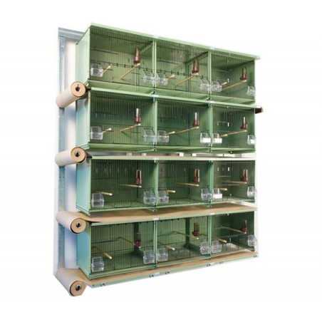 Batteries de 12 cages 45x30x36 en vert - New Canariz à 955,00 € - New Canariz - 2710 - Cages