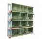 Batteries de 12 cages 45x30x36 en vert - New Canariz