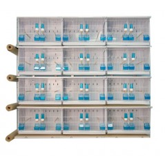 Batteries de 12 cages 63x40x40 - New Canariz à 1,00 € - New Canariz - 3100 - Cages