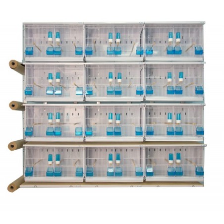 Batteries de 12 cages 63x40x40 - New Canariz à 1,00 € - New Canariz - 3100 - Cages