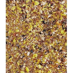 Gold Crumble Pâtée Sèche Perruches et Petits Perroquets - 1kg - NutriBird à 5,95 € - Versele-Laga - 422248 - Nutribird