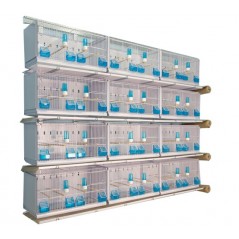 Batterie de 12 cages 64x30x34 Modèle Champion- New Canariz 3000 New Canariz 1,260.00 Ornibird