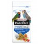 Frutti Pâtée Fortifiante Complément Nutritif - 250gr - NutriBird 422230 Versele-Laga 3,95 € Ornibird