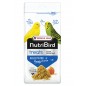 Gold Pâtée Honey Fusion Complément Nutritif - 250gr - NutriBird 422231 Versele-Laga 3,50 € Ornibird