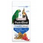 Gold Pâtée Forest Fusion Complément Nutritif - 250gr - NutriBird 422232 Versele-Laga 3,75 € Ornibird