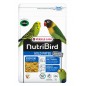 Gold Pâtée Humide Perruches et Petits Perroquets - 1kg - NutriBird