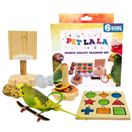 Agility Training Set Pour Perroquets - Petlala à 21,75 € - PETLALA - PL1801 - Jouets