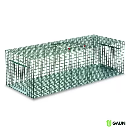 PIÈGE À PIGEONS ET AUTRES OISEAUX - GAUN à 112,95 € - Gaun - 32490 - Pièges