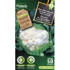 Chou Fleur Merveille de Toutes saisons - Cat. A - Protecta à 2,40 € -  - SE-POT-00048 - Accueil