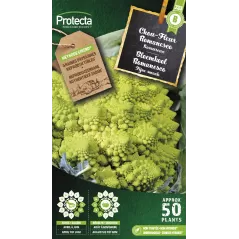 Chou Fleur Romanesco - Cat. B - Protecta à 3,65 € -  - SE-POT-00049 - Accueil