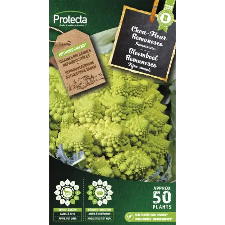 Chou Fleur Romanesco - Cat. B - Protecta à 3,65 € -  - SE-POT-00049 - Accueil