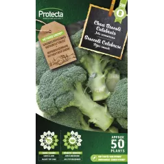 Chou Brocoli à jets verts Calabrais - Cat. B - Protecta à 3,65 € -  - SE-POT-00046 - Accueil