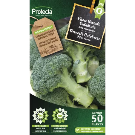 Chou Brocoli à jets verts Calabrais - Cat. B - Protecta à 3,65 € -  - SE-POT-00046 - Accueil
