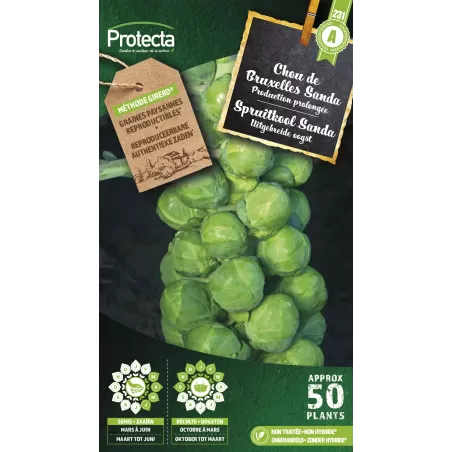 Chou de Bruxelles Sanda - Cat. A - Protecta à 2,40 € -  - SE-POT-00047 - Accueil