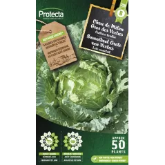 Chou de Milan Gros des Vertus - Cat. B - Protecta à 3,65 € -  - SE-POT-00227 - Accueil