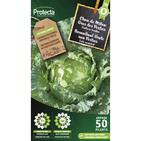 Chou de Milan Gros des Vertus - Cat. B - Protecta à 3,65 € -  - SE-POT-00227 - Accueil