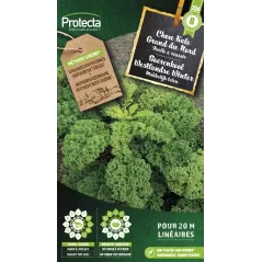 Chou Kale frisé Westlandse Winter - Cat. B - Protecta à 3,65 € -  - SE-POT-00050 - Accueil