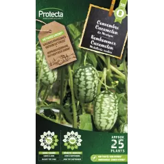Concombre à confire Cucamelon - Cat. B - Protecta à 3,65 € -  - SE-POT-00158 - Accueil