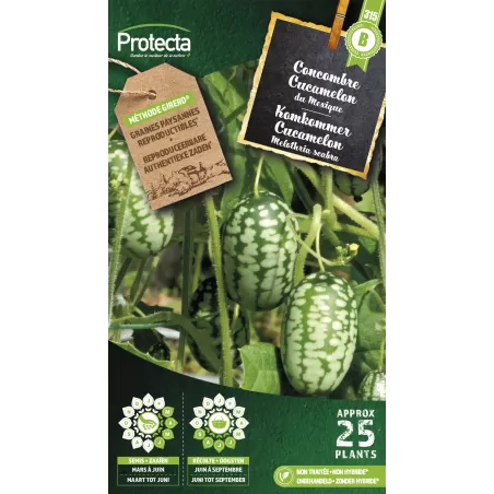 Concombre à confire Cucamelon - Cat. B - Protecta à 3,65 € -  - SE-POT-00158 - Accueil