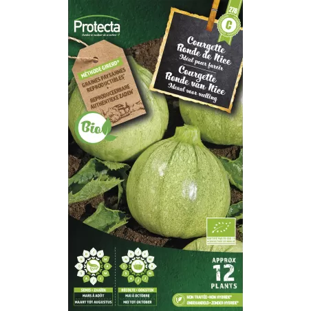 Courgette de Nice à fruit rond FR-BIO-15 - Cat. C - Protecta à 4,80 € -  - SE-POT-00220 - Accueil