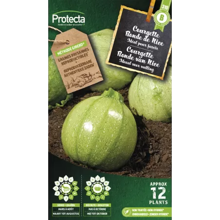 Courgette de Nice à fruit rond - Cat. B - Protecta à 3,65 € -  - SE-POT-00073 - Accueil