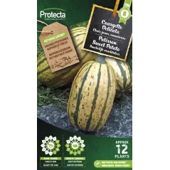 Courgette Delicata - Cat. B - Protecta à 3,65 € -  - SE-POT-00235 - Accueil