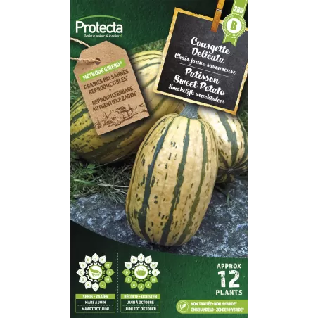 Courgette Delicata - Cat. B - Protecta à 3,65 € -  - SE-POT-00235 - Accueil