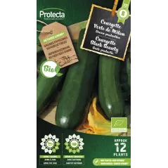 Courgette Black Beauty FR-BIO-15 - Cat. B - Protecta à 3,65 € -  - SE-POT-00192 - Accueil