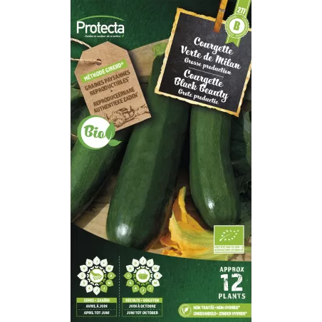 Courgette Black Beauty FR-BIO-15 - Cat. B - Protecta à 3,65 € -  - SE-POT-00192 - Accueil