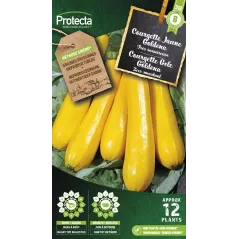 Courgette Jaune Goldena - Cat. B - Protecta à 3,65 € -  - SE-POT-00156 - Accueil