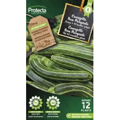 Courgette San Pasquale - Cat. A - Protecta à 2,40 € -  - SE-POT-00157 - Accueil