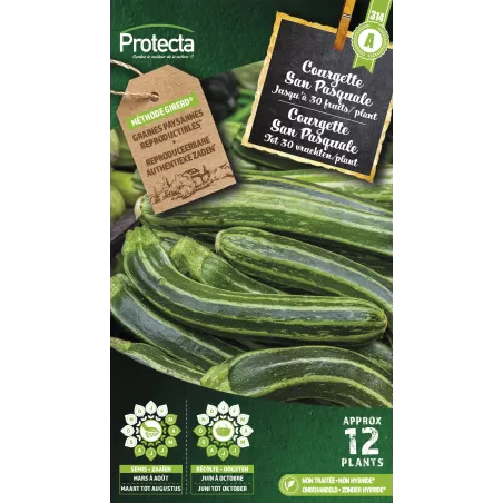 Courgette San Pasquale - Cat. A - Protecta à 2,40 € -  - SE-POT-00157 - Accueil