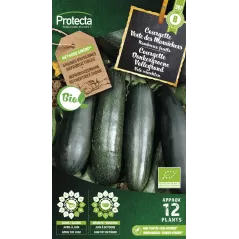 Courgette Verte des Maraîchers FR-BIO-15 - Cat. B - Protecta à 3,65 € -  - SE-POT-00237 - Accueil