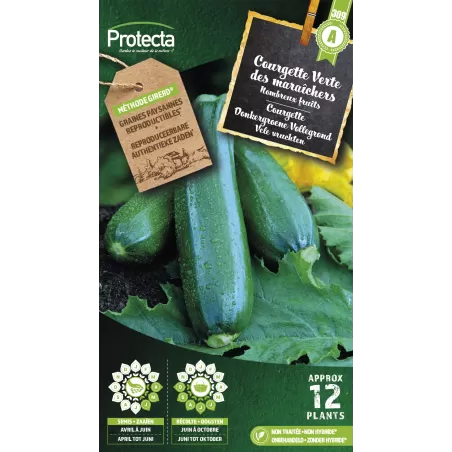 Courgette verte des maraîchers - Cat. A - Protecta à 2,40 € -  - SE-POT-00072 - Accueil