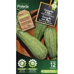 Courgette petite verte d'Alger - Cat. B - Protecta à 3,65 € -  - SE-POT-00071 - Accueil