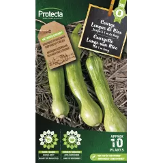 Courge longue de Nice - Cat. B - Protecta à 3,65 € -  - SE-POT-00068 - Accueil