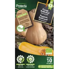 Courge musquée Butternut FR-BIO-15 - Cat. B - Protecta à 3,65 € -  - SE-POT-00191 - Accueil