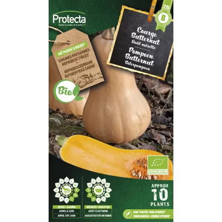 Courge musquée Butternut FR-BIO-15 - Cat. B - Protecta à 3,65 € -  - SE-POT-00191 - Accueil